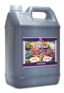 アンナプルナ・アクセル